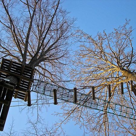 Kempings Ozolkalns Cēsis Buitenkant foto
