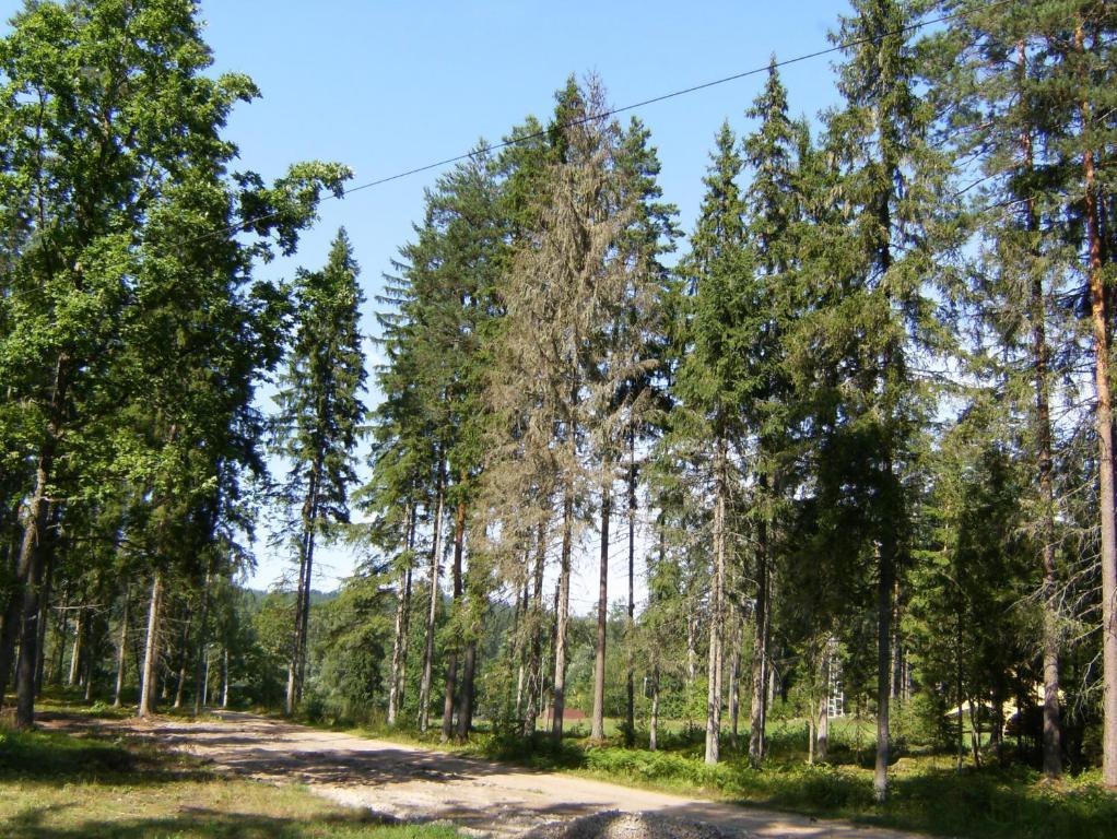 Kempings Ozolkalns Cēsis Buitenkant foto