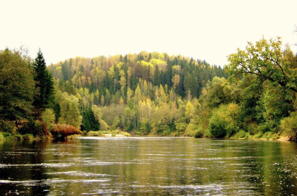 Kempings Ozolkalns Cēsis Buitenkant foto