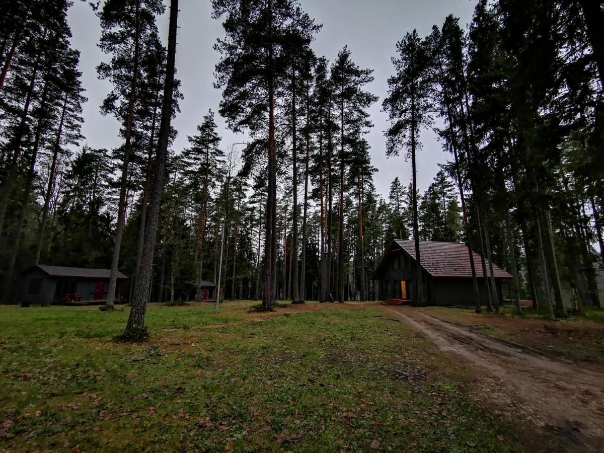 Kempings Ozolkalns Cēsis Buitenkant foto
